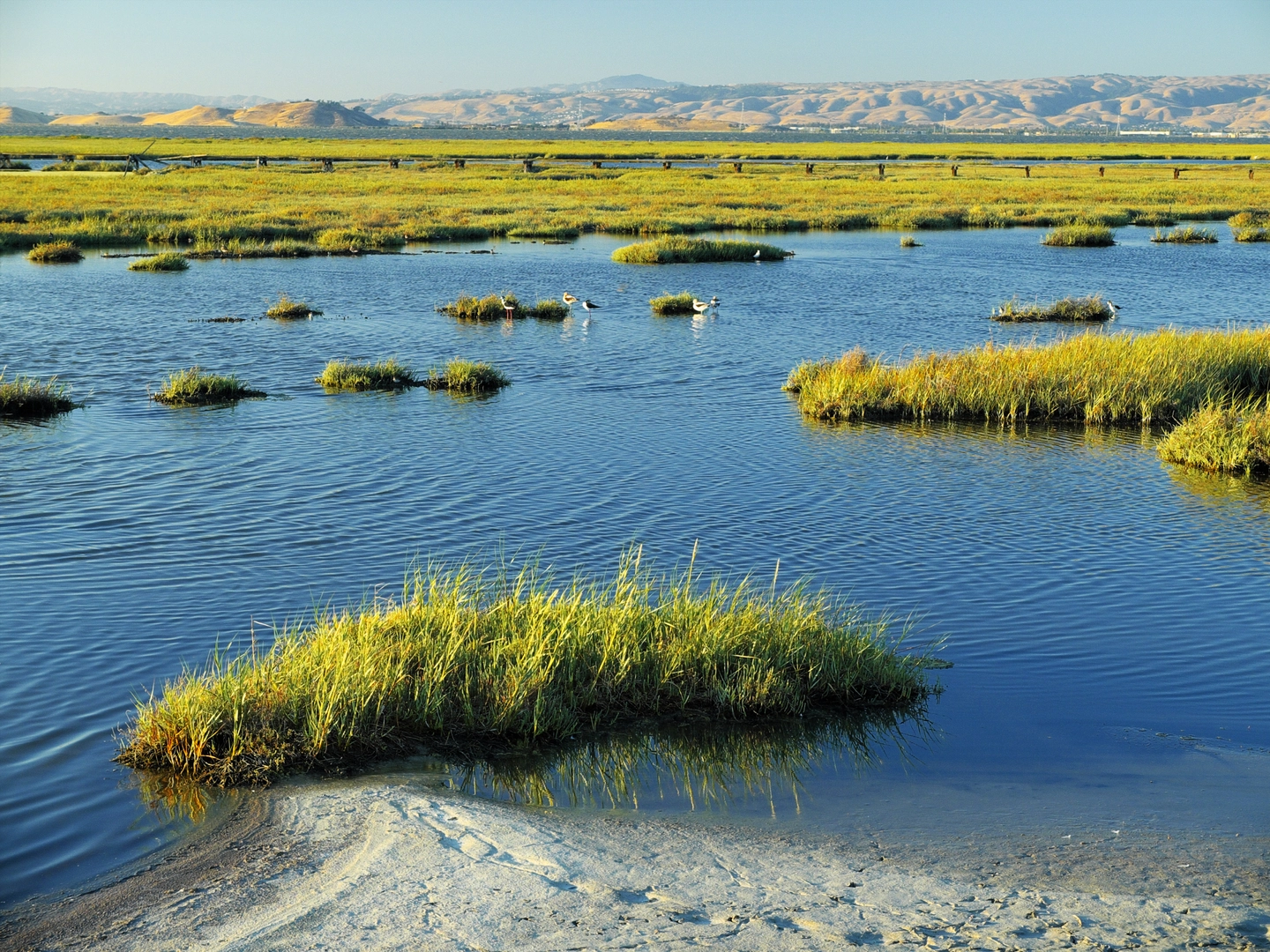 An image depicting the trail Adobe Creek Trail and its surrounding area.
