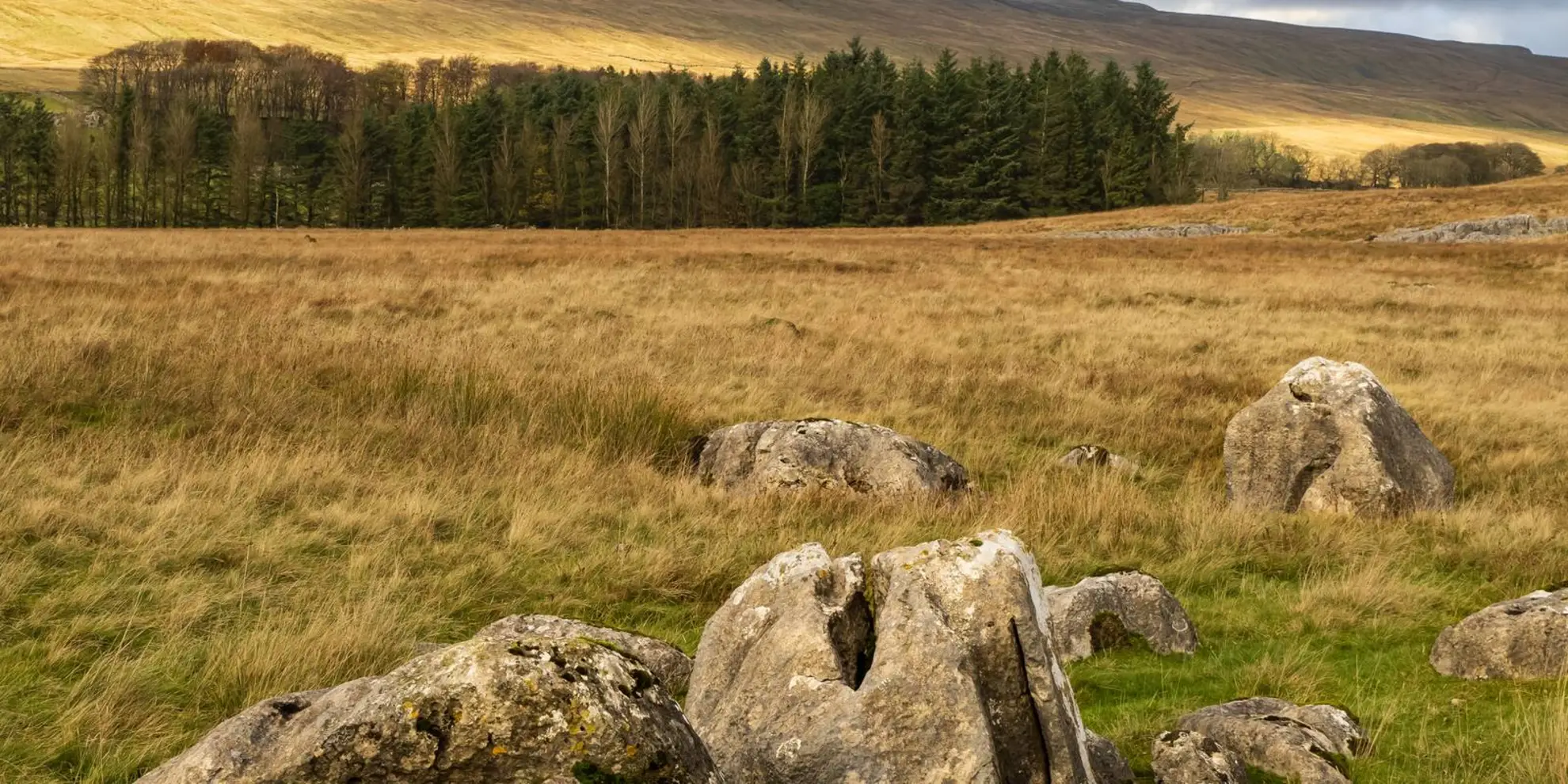 An image depicting the trail Whernside and Scales Moor from Ribblehead and its surrounding area.