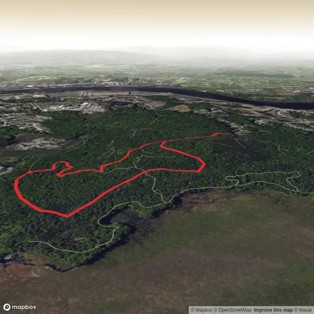 An image depicting the trail Lowell Dracut State Forest Loop and its surrounding area.