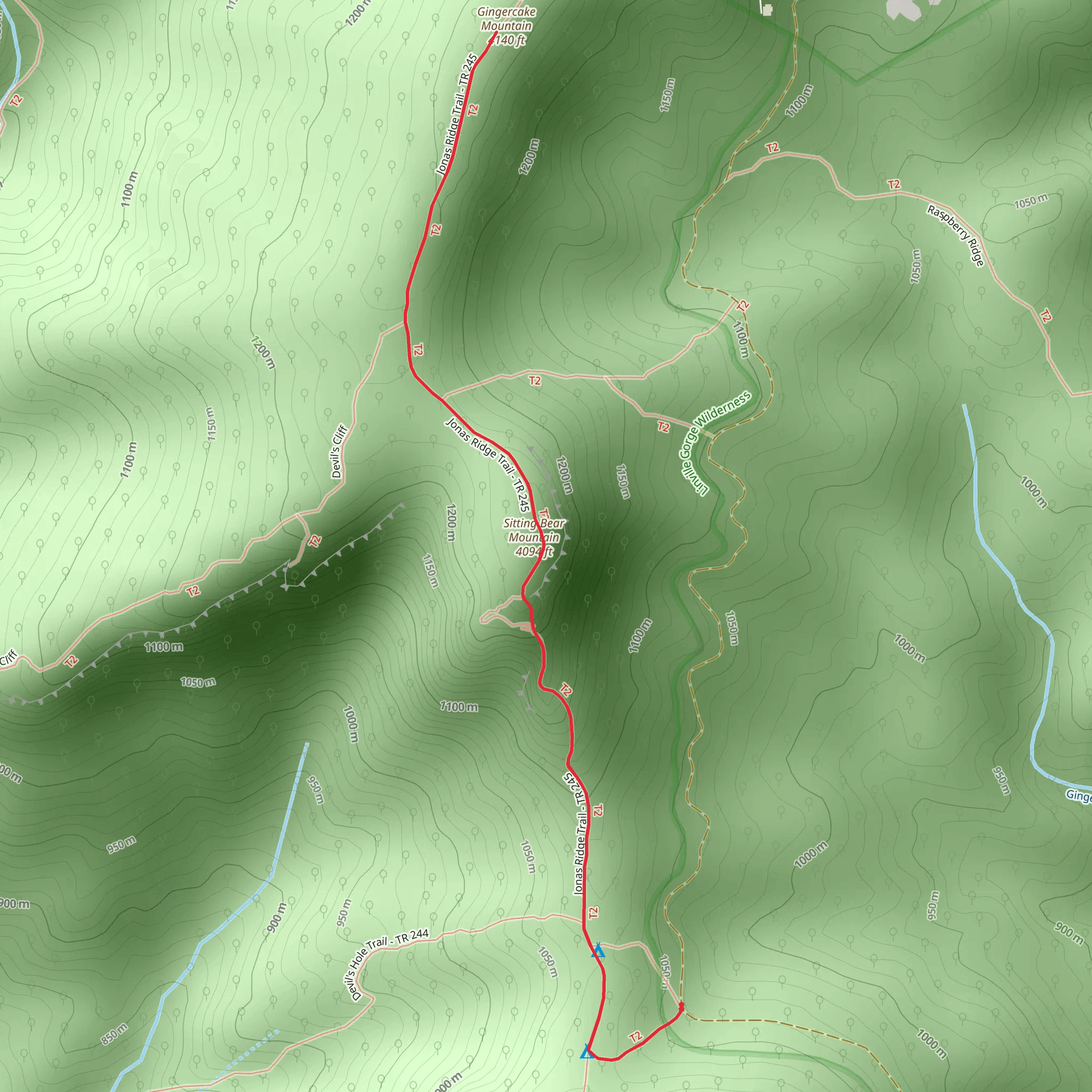 Gingercake Mountain via Jonas Ridge Trail mobile static map