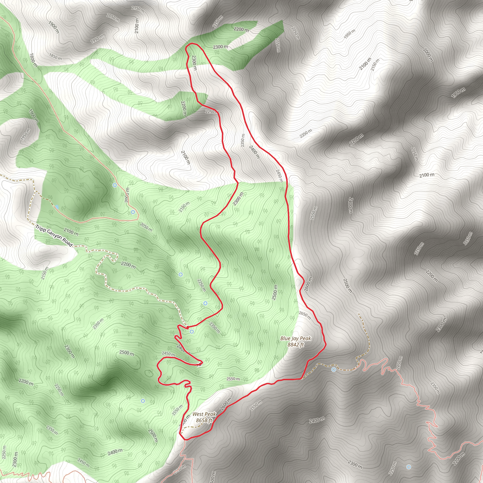 Blue Jay Ridge Loop Trail mobile static map