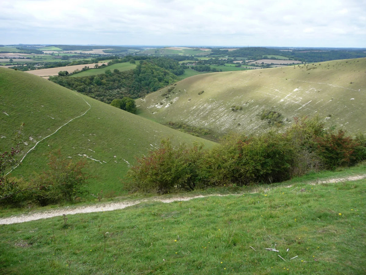 Butser Hill and Oxenbourne Lythe Loop