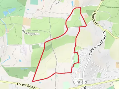 Binfield Loop