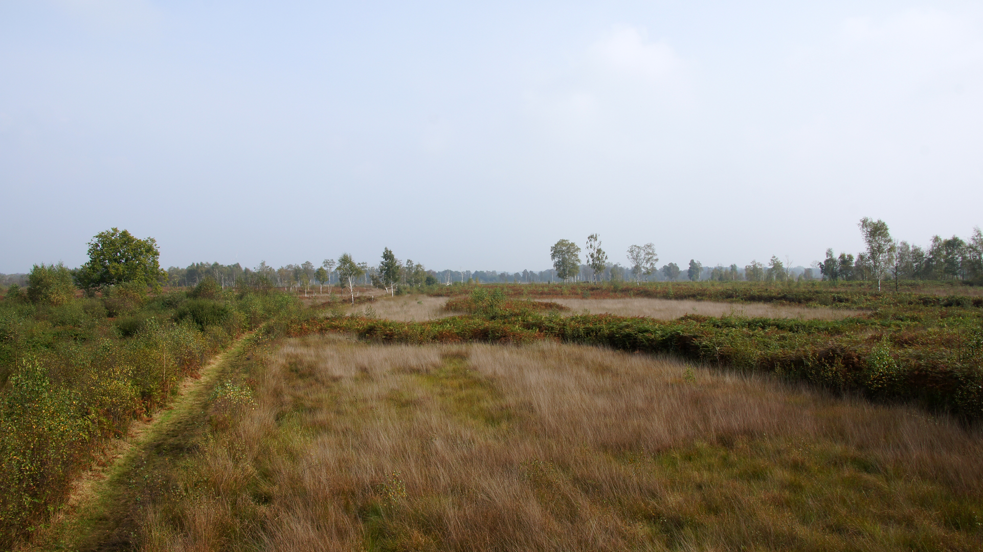 An image depicting the trail Bloemer Loop and its surrounding area.