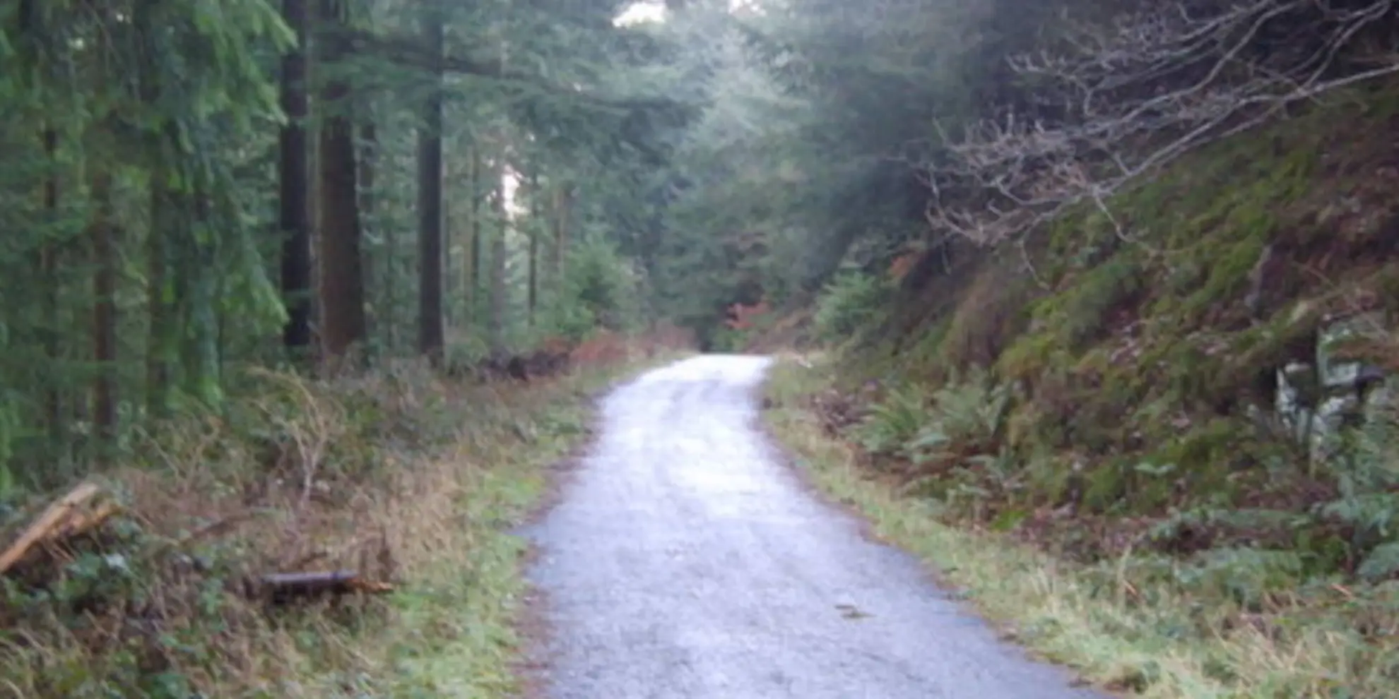 An image depicting the trail Dodd Summit Trail and its surrounding area.