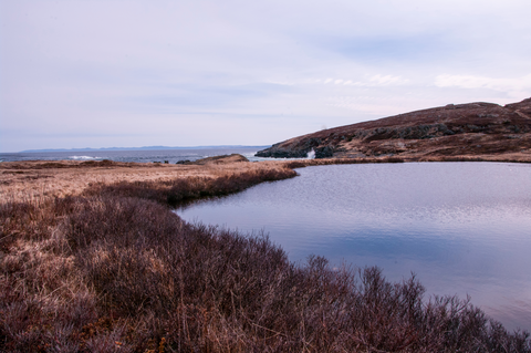 Newfoundland T'railway Trail