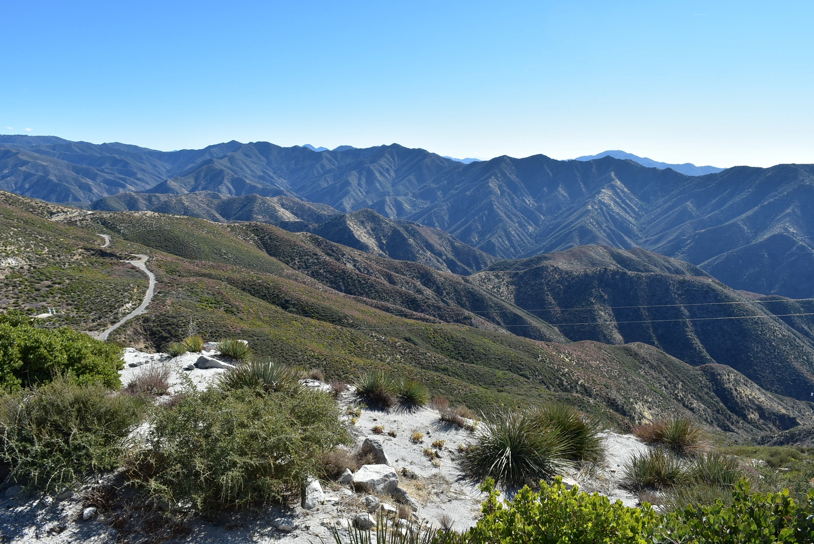 An image depicting the trail Magic Mountain and its surrounding area.