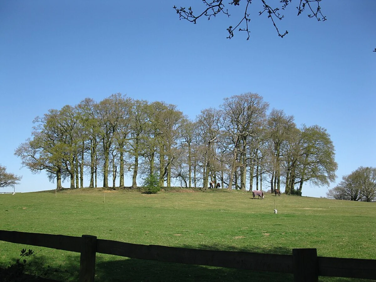 Furze Hill and Leverton Loop
