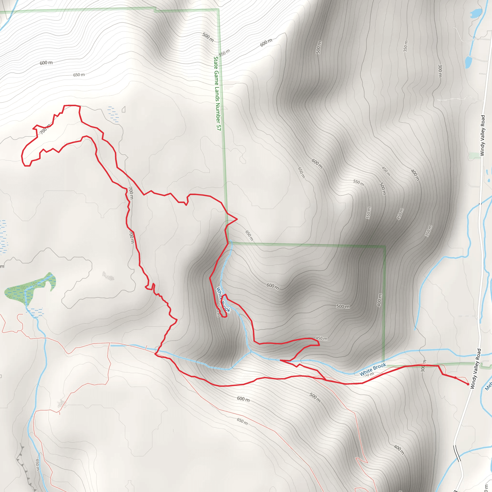 White Brook and Big Deer Swamp Loop mobile static map