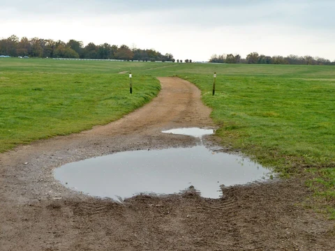 An image depicting the trail Epsom Downs and The Warren Loop and its surrounding area.