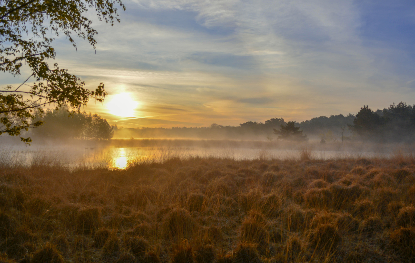 An image depicting the trail Langven, Oude Meer and Hoberg Loop and its surrounding area.
