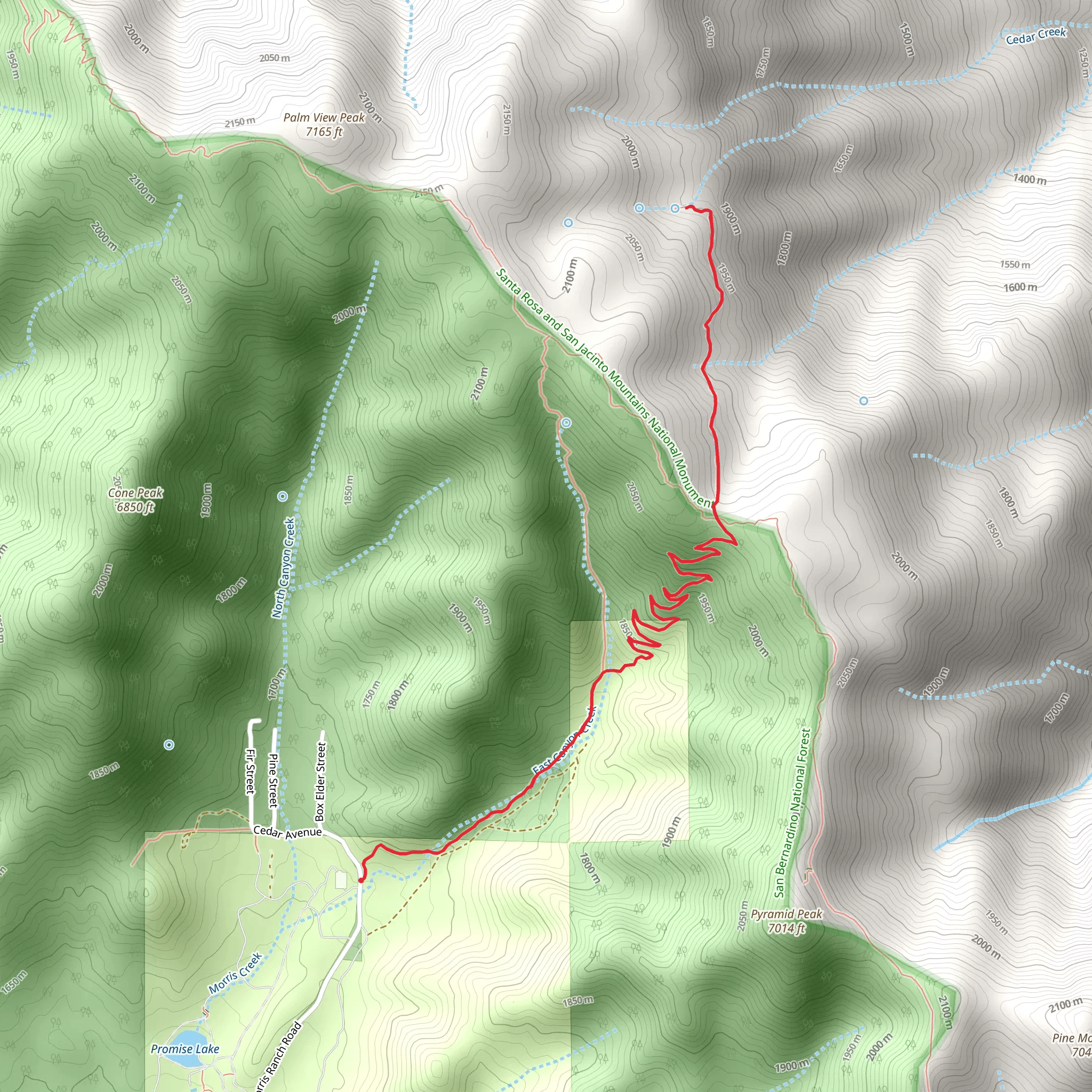 Cedar Springs Trail mobile static map