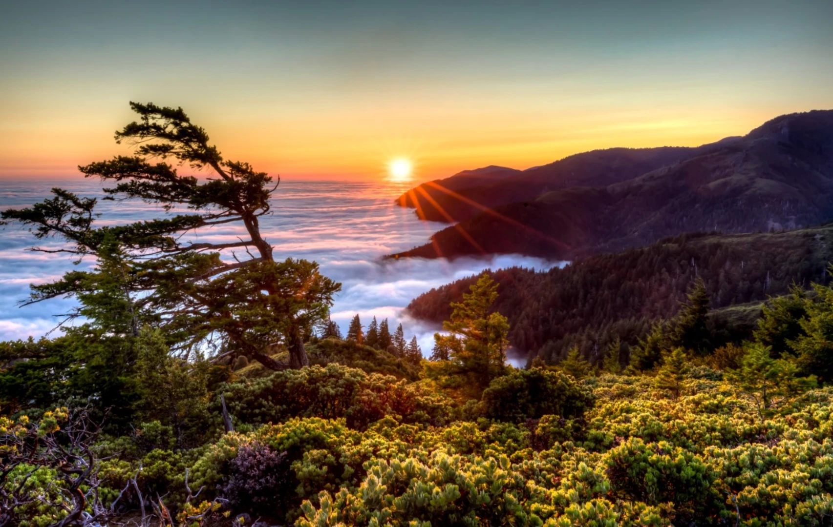 An image depicting the trail King Peak and North Slide Peak via King Crest Trail and its surrounding area.