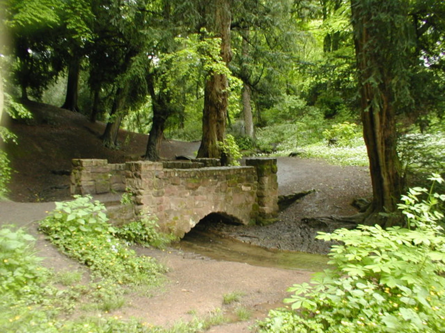 An image depicting the trail Breaches Pool Loop and its surrounding area.