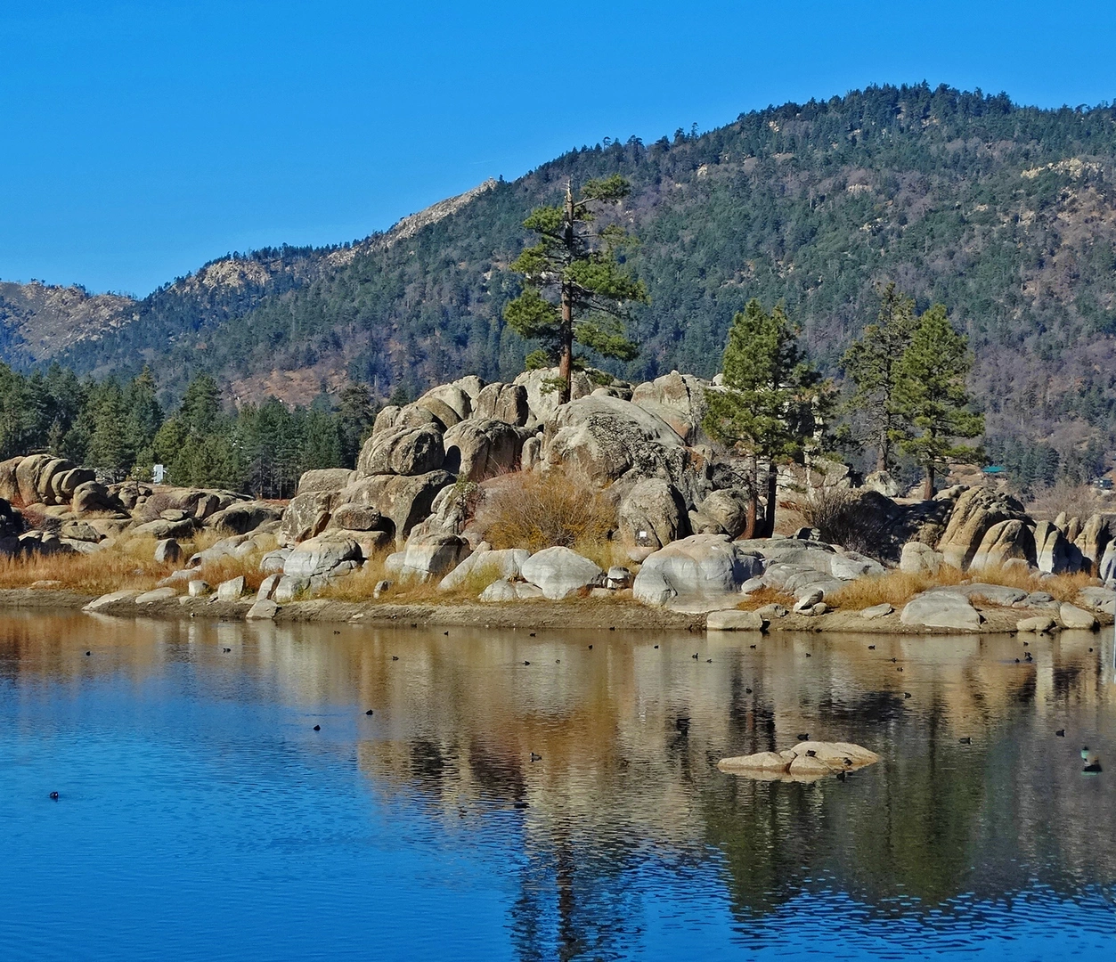 An image depicting the trail Alpine Pedal Path and its surrounding area.