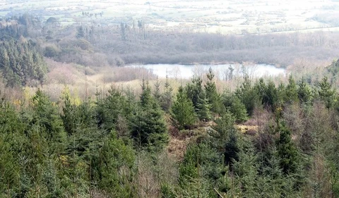 An image depicting the trail Pentraeth Loop and its surrounding area.