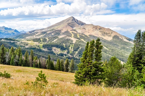 An image depicting the trail Beehive Basin Trail and its surrounding area.