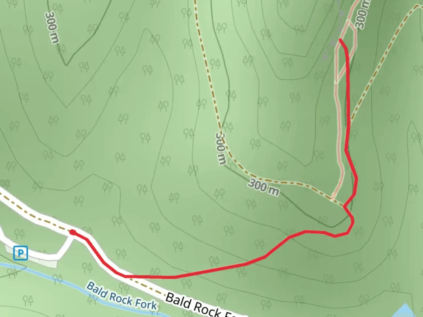 An image depicting the trail Bald Rock Fork and its surrounding area.