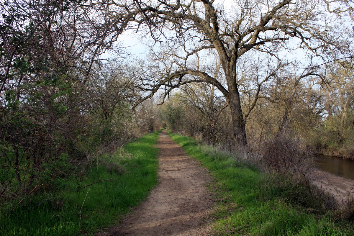Gibson Lake and Dry Creek Loop - Long