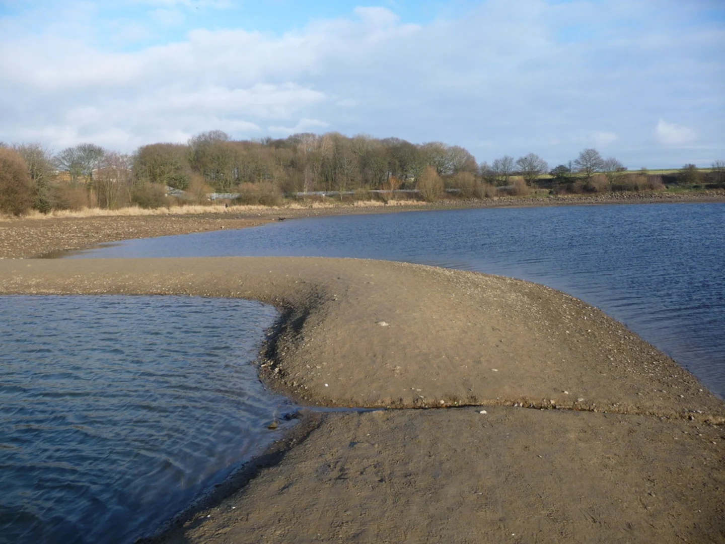 An image depicting the trail Ardsley Reservoir Loop and its surrounding area.