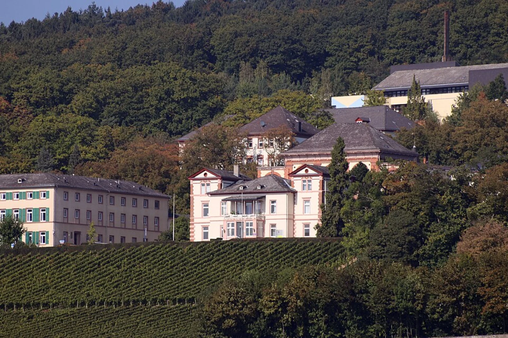 An image depicting the trail Eichberg and Hochsteinchen Walk and its surrounding area.