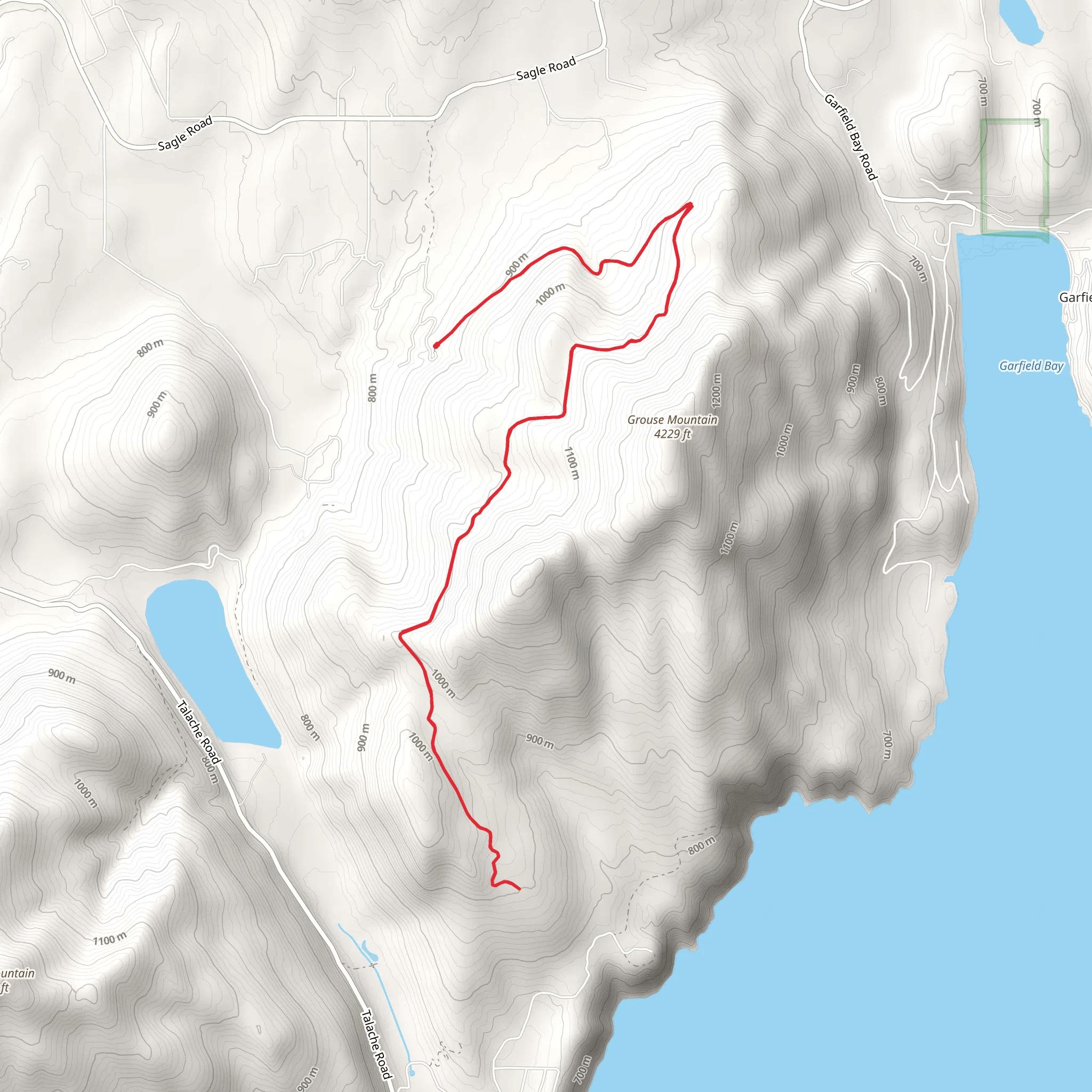 Grouse Mountain Trail Out and Back mobile static map