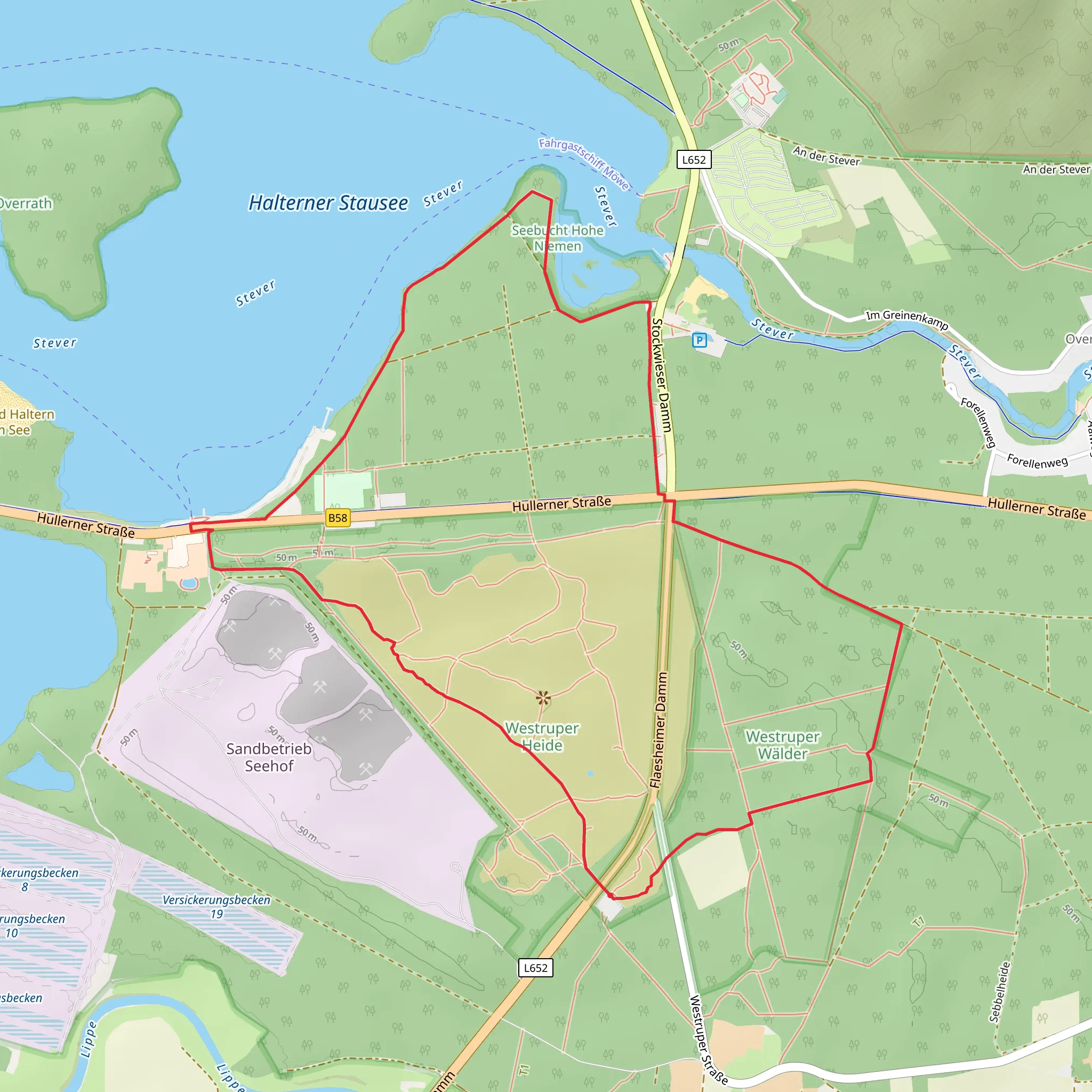 Westruper Heide-Walder and Hohe Niemen Loop via Bienenroute mobile static map