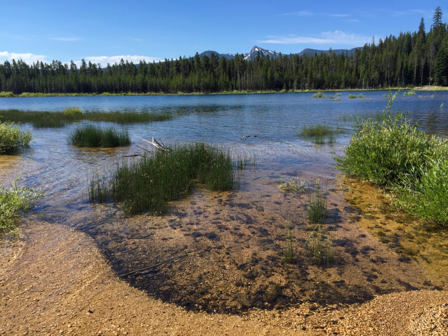 An image depicting the trail Summit Lake Trail and its surrounding area.