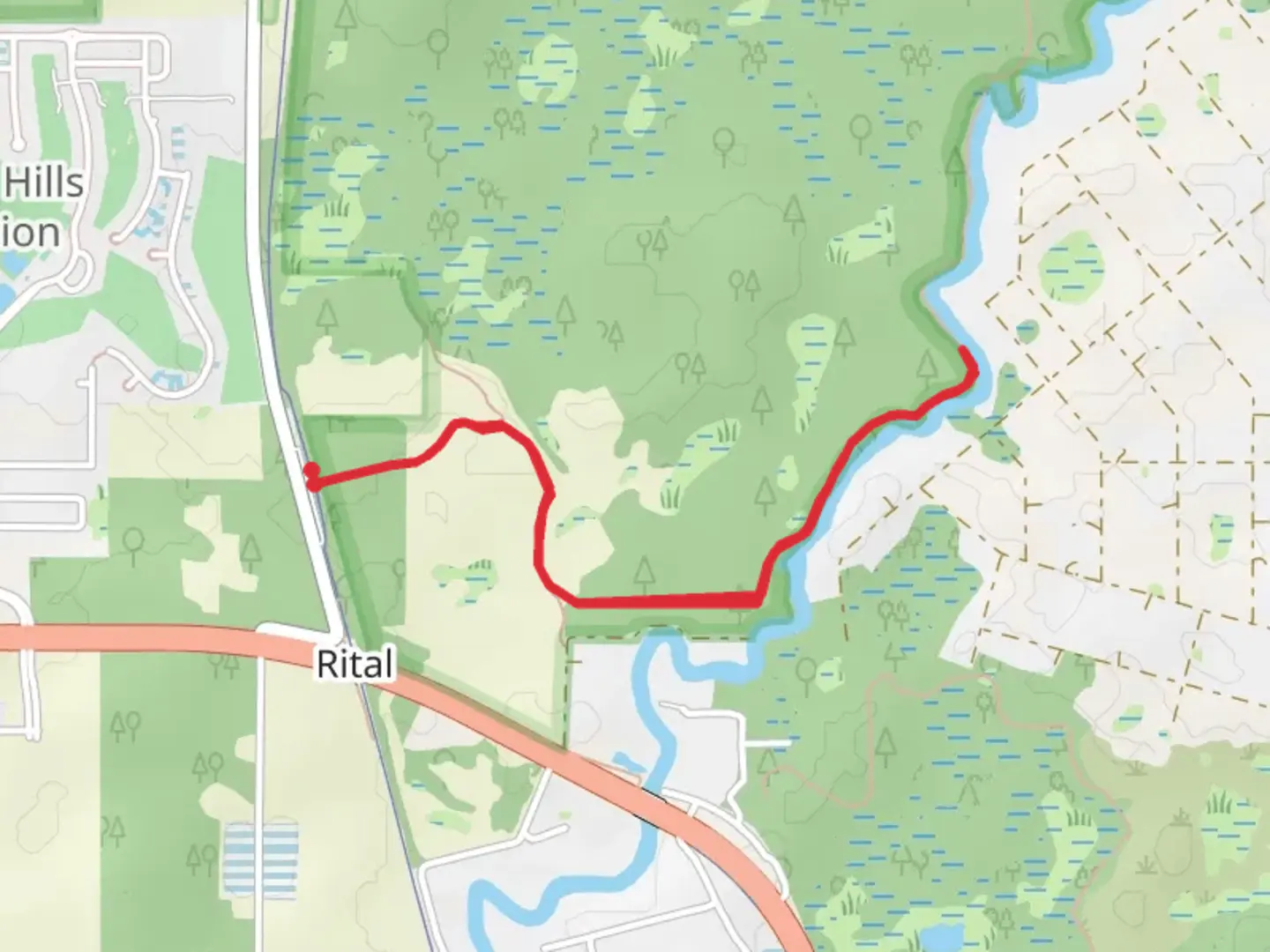An image depicting the trail Withlacoochee River Trail - Rital and its surrounding area.