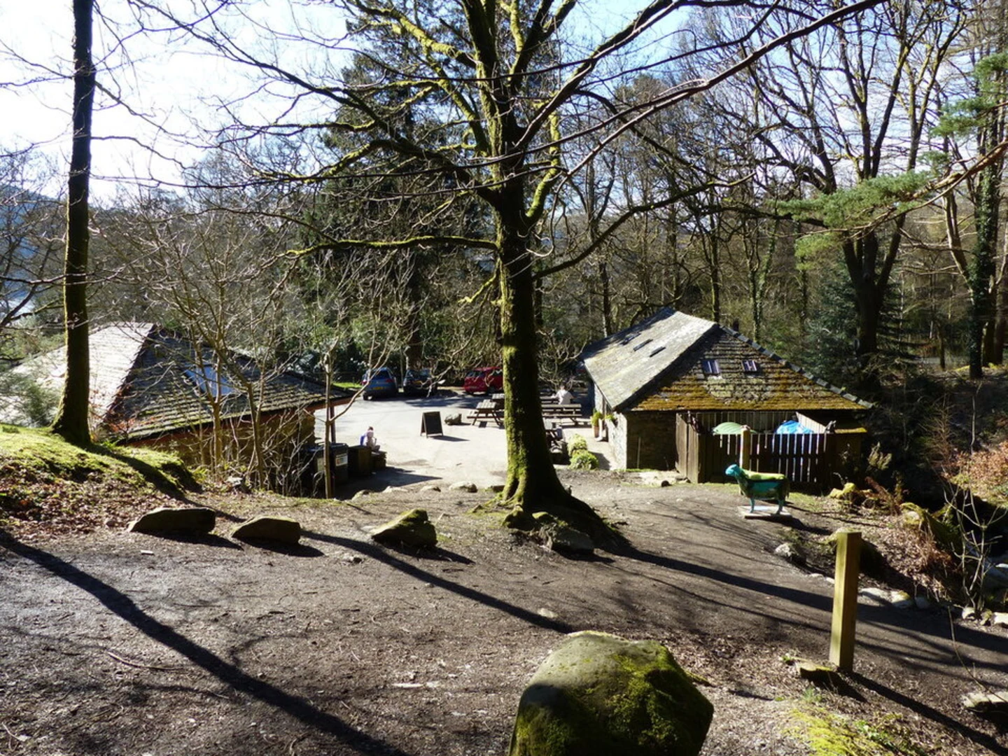 An image depicting the trail Dodd Wood Loop and its surrounding area.