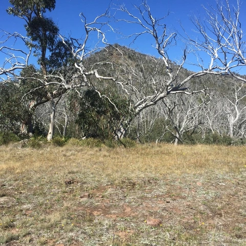 Mount Clear Traverse Trail