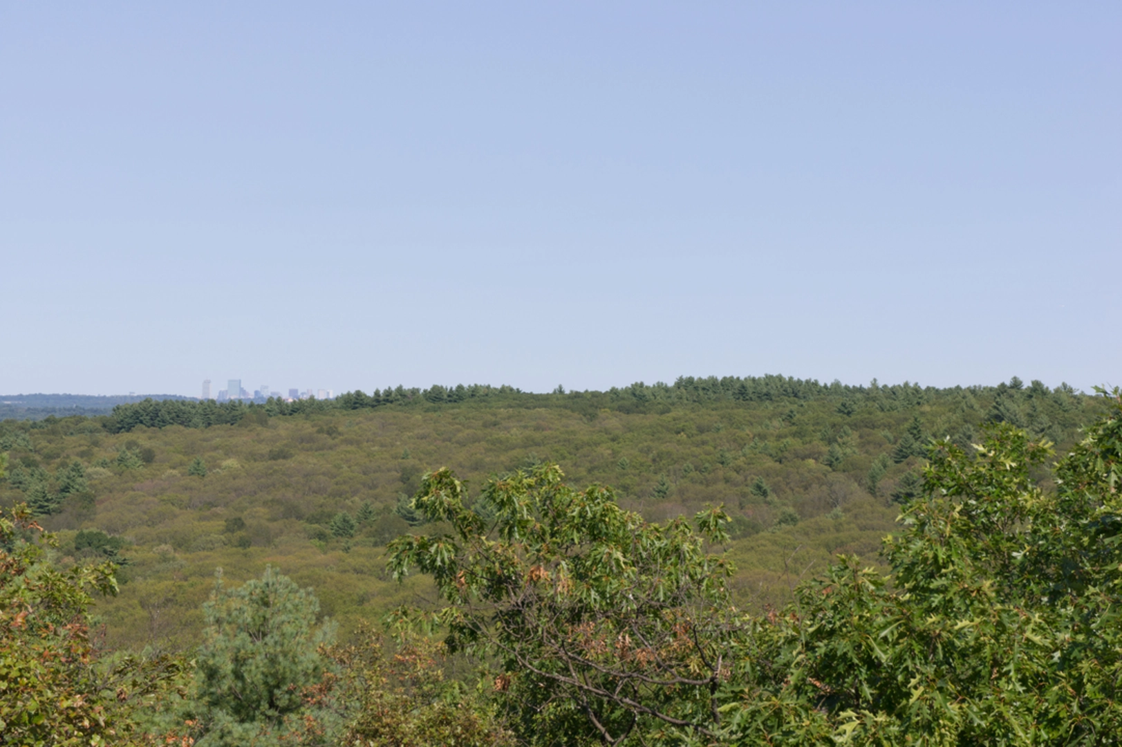 An image depicting the trail Noanet Peak and Upper Mill Pond Loop and its surrounding area.