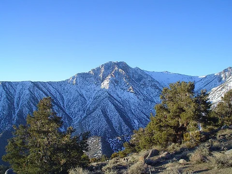 An image depicting the trail Betty Jumbo Mine Trail and its surrounding area.