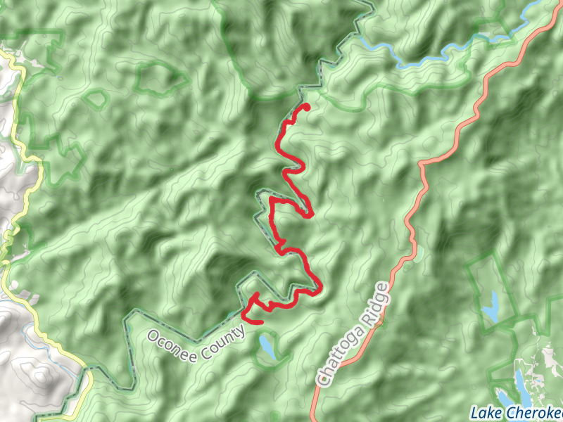 Foothills - Chattooga Trail