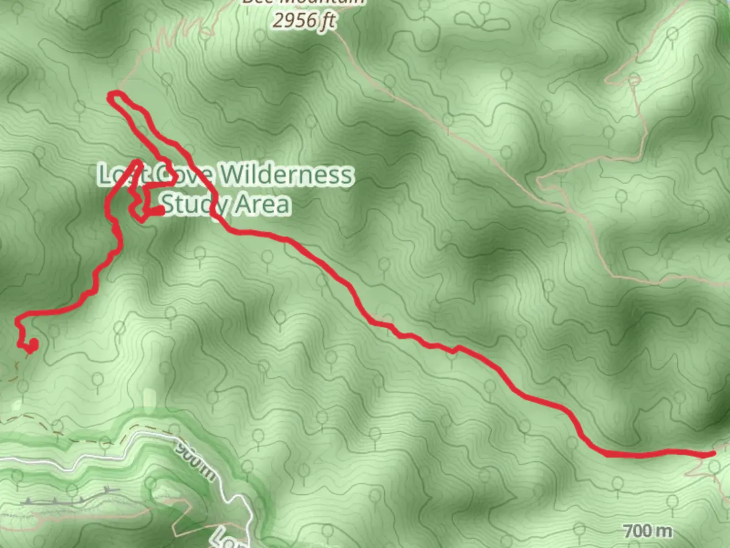 An image depicting the trail Lost Cove Trail and its surrounding area.