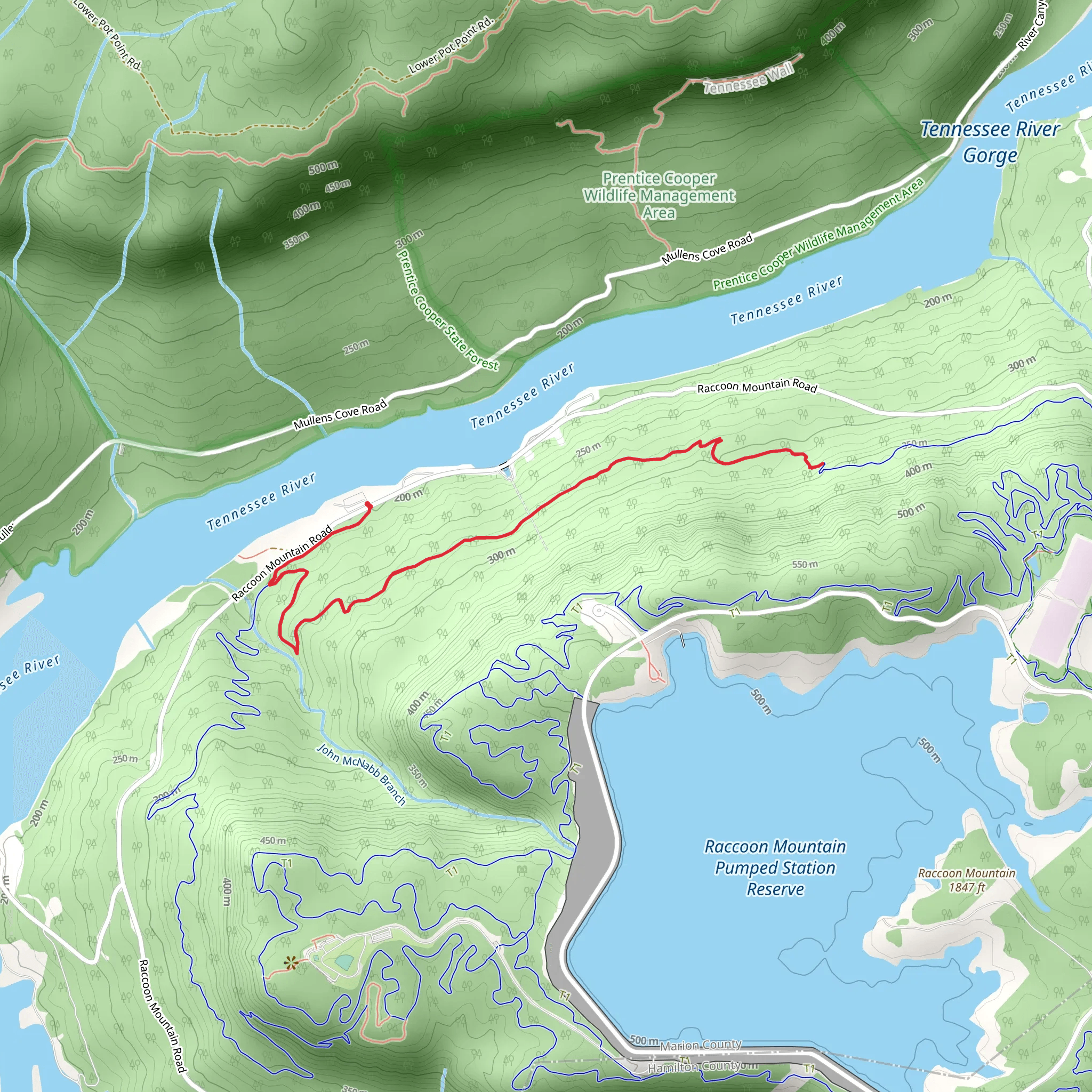 Live Wire 2 mobile static map