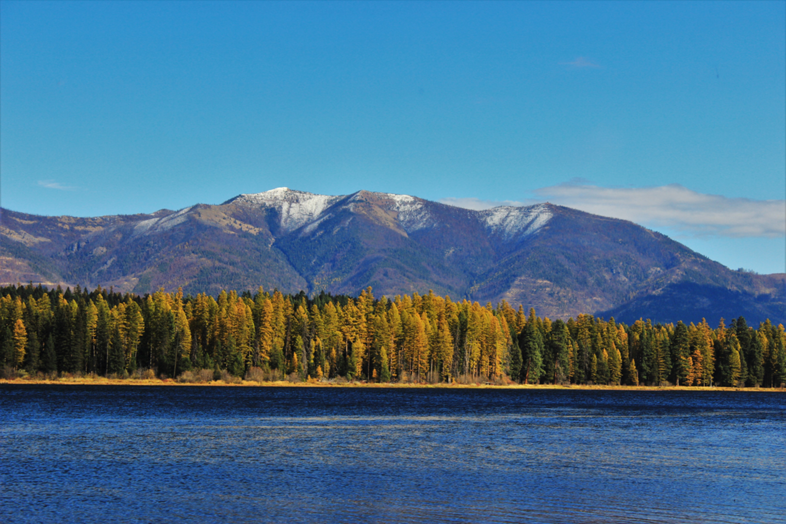 An image depicting the trail Logging Camp Loop Trail and its surrounding area.