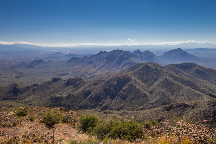 Wasson and Amole Peak Loop