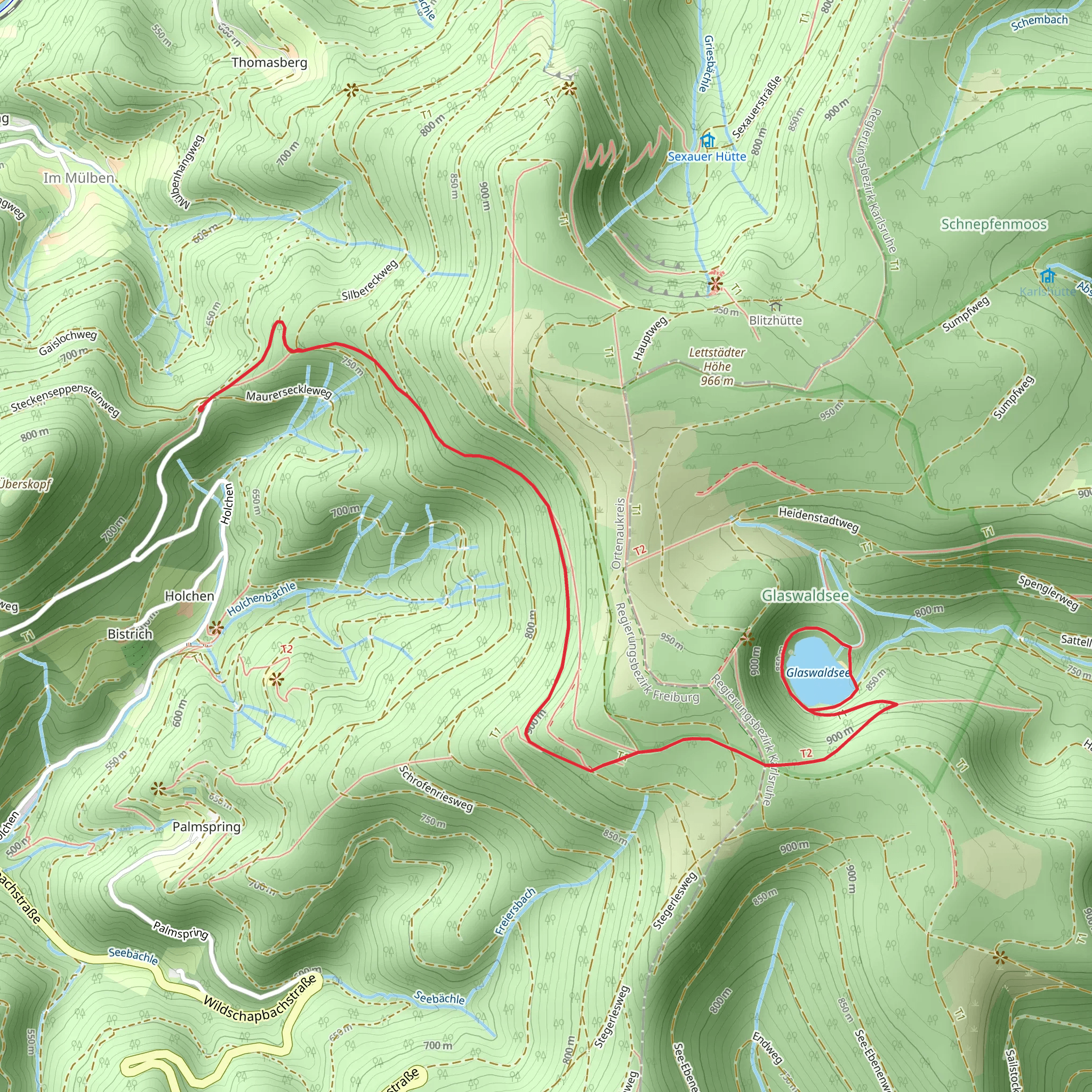 Glaswaldsee via Unteres Seebenesträßle mobile static map