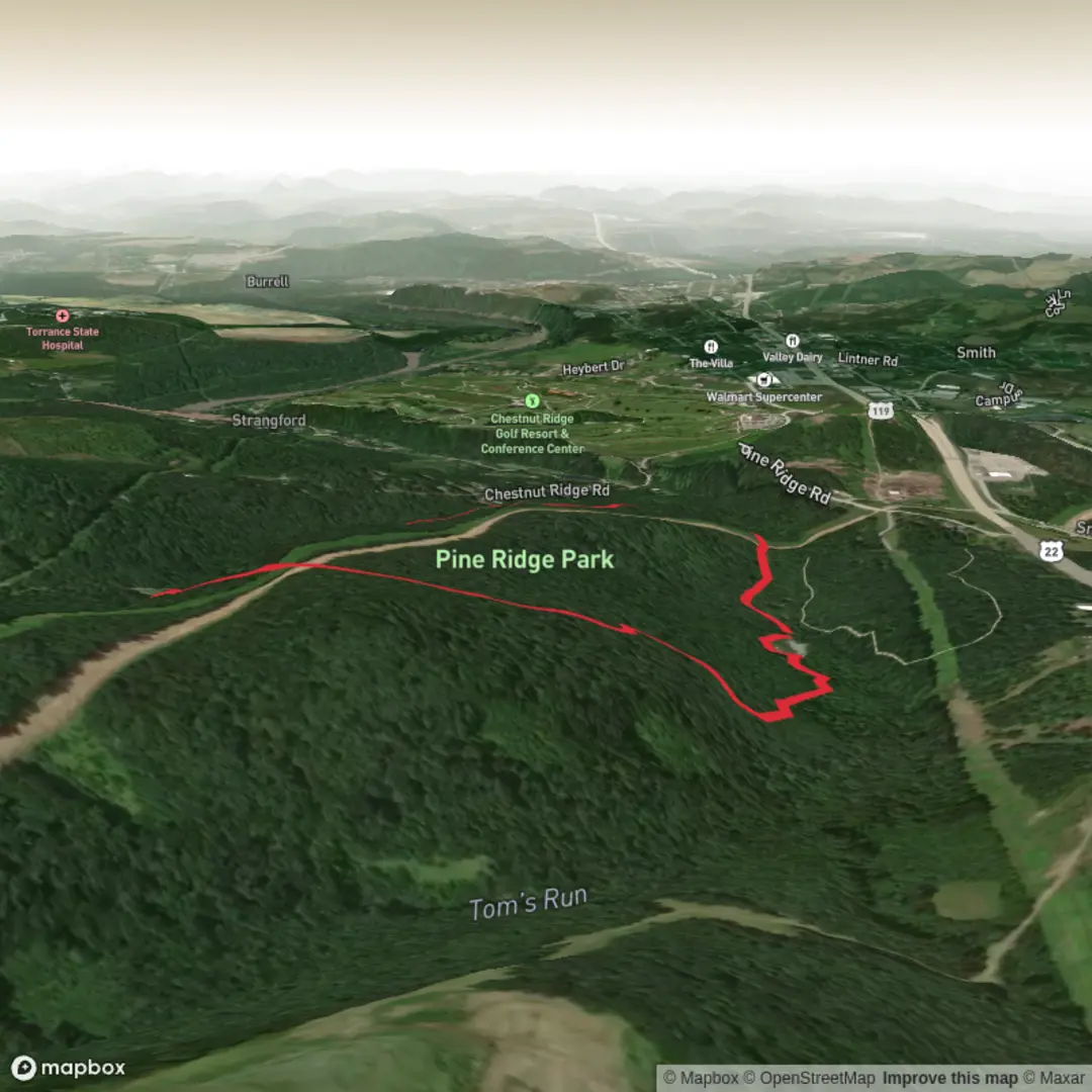 An image depicting the trail Lodge Trail and its surrounding area.