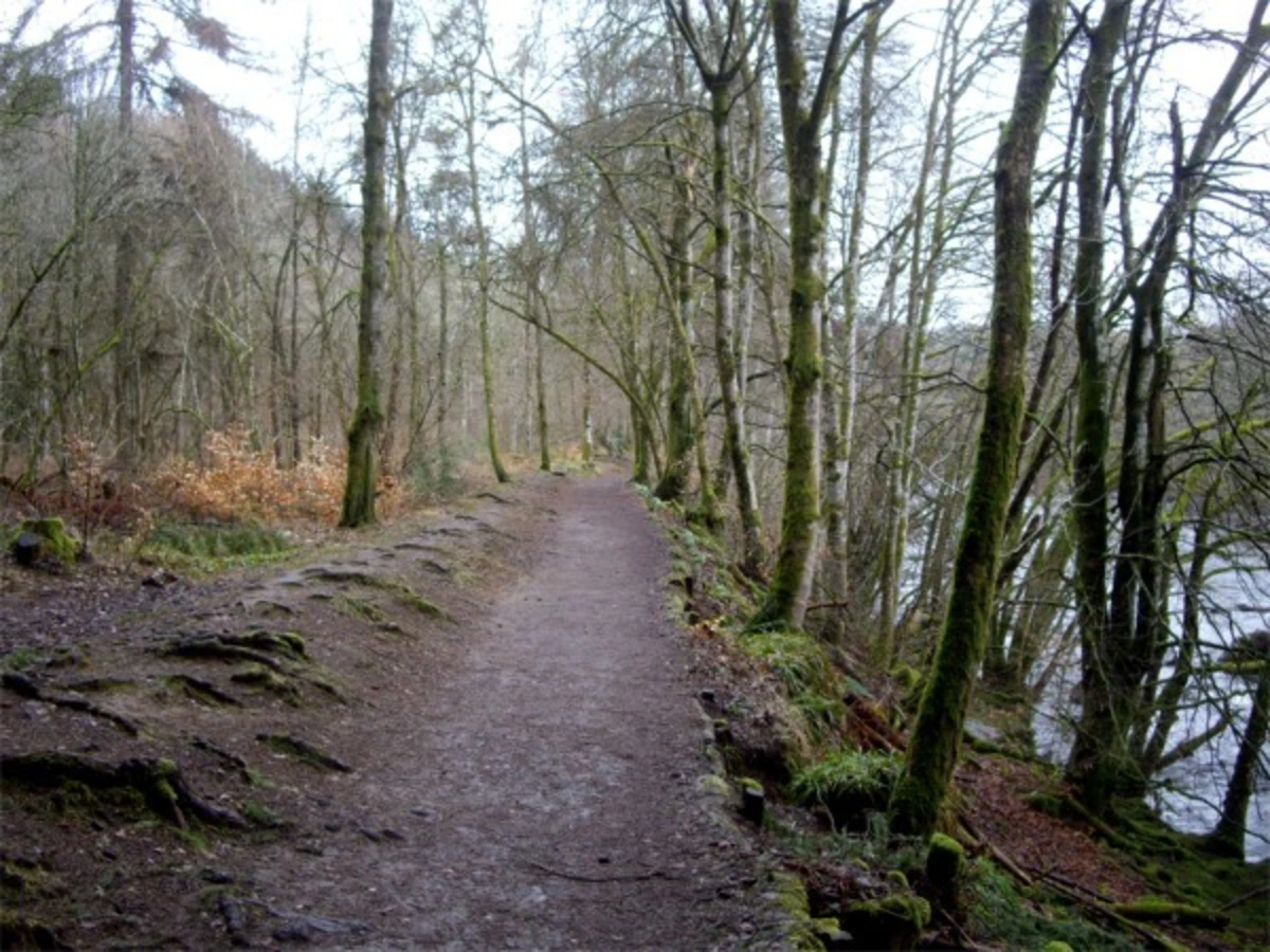 Torryvald Loop Trail