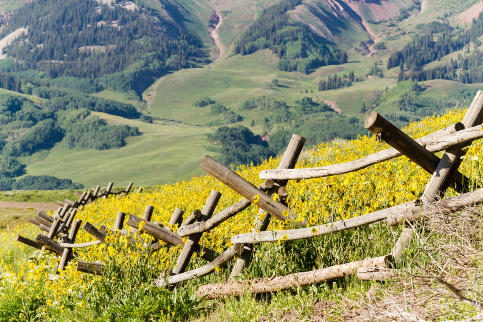 An image depicting the trail Teocalli Ridge Loop Trail and its surrounding area.