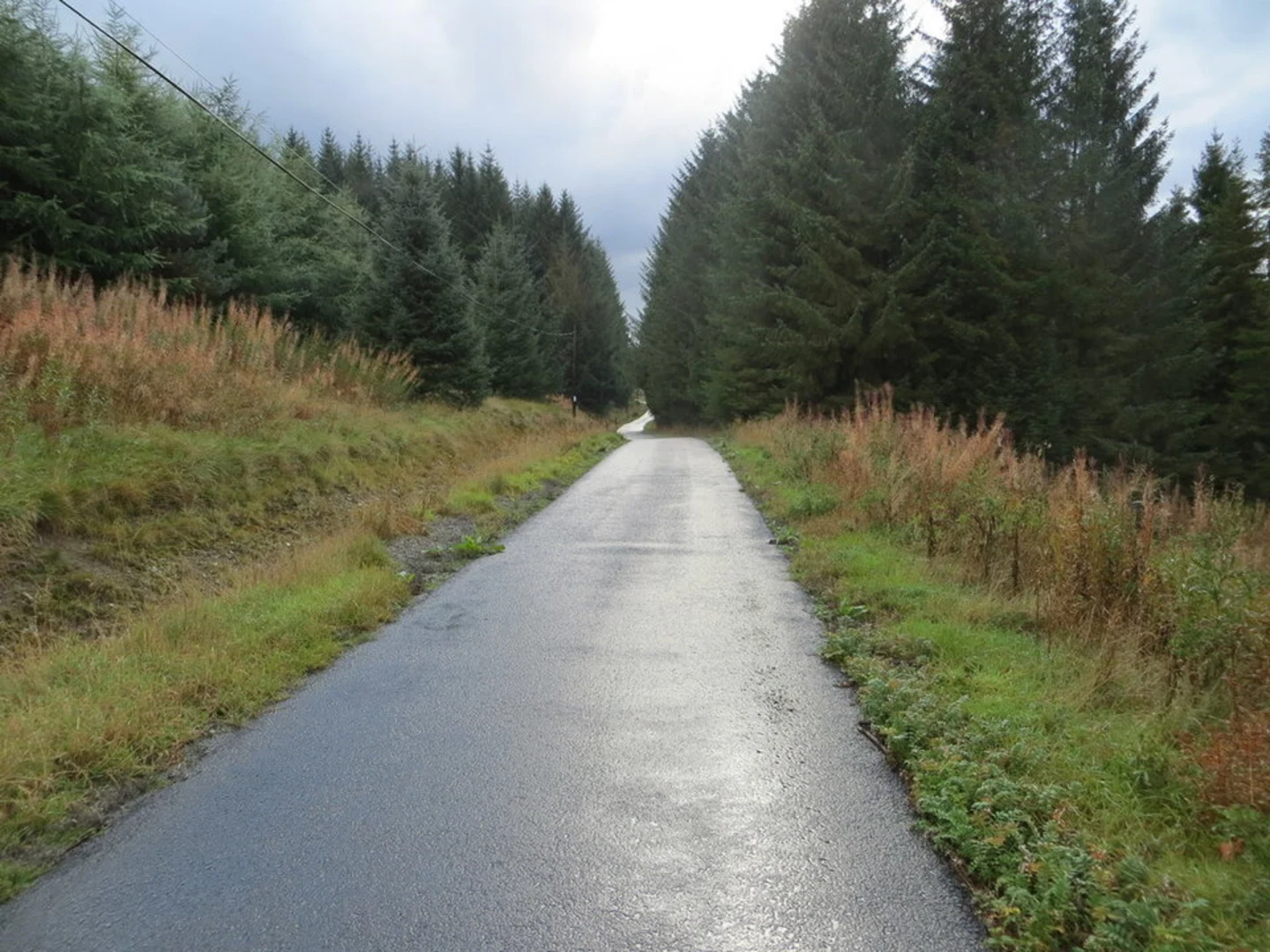 An image depicting the trail Aithouse Burn Trail and its surrounding area.
