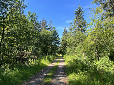 De kuilen and Kuinderbos Loop