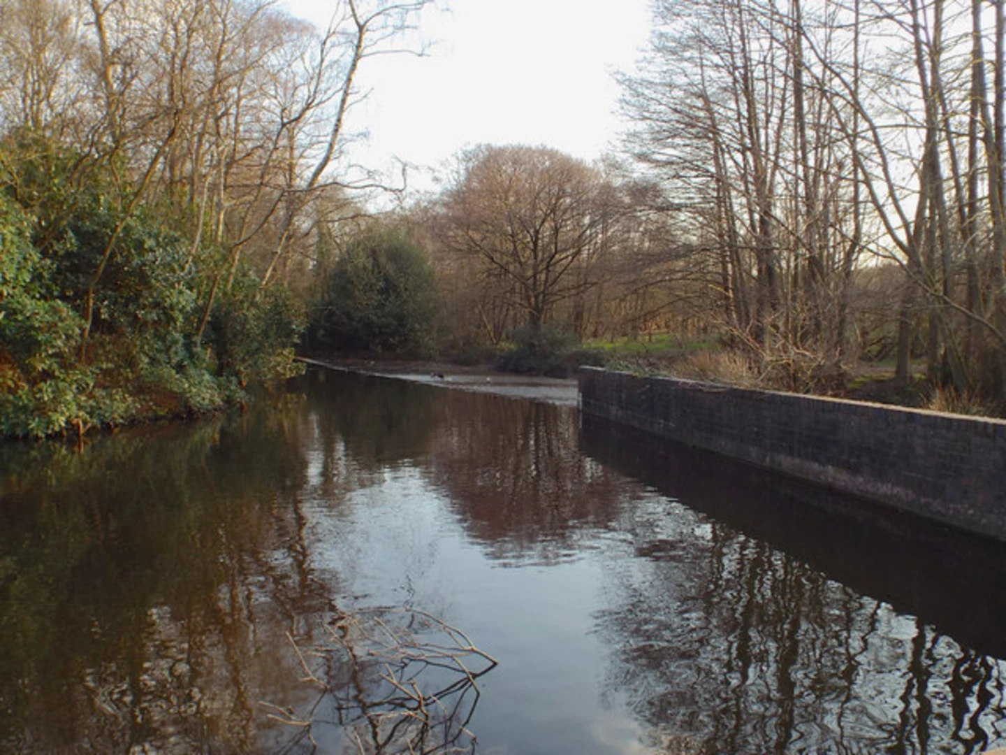 An image depicting the trail Sutton Park Loop and its surrounding area.