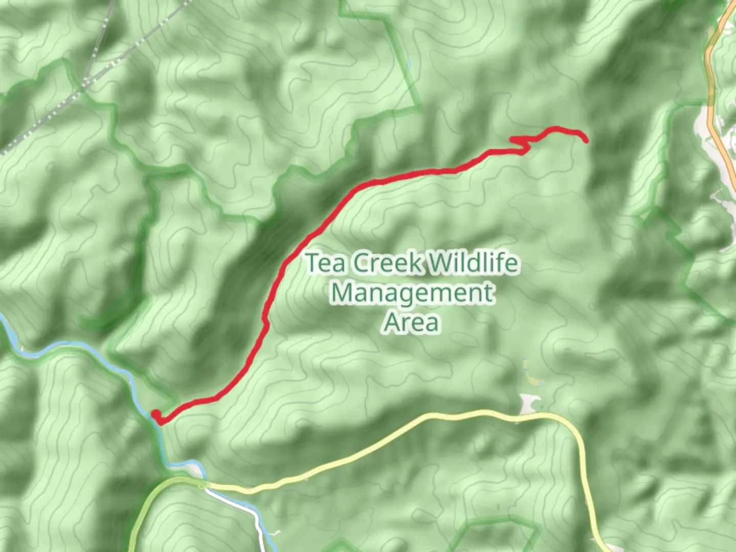An image depicting the trail Tea Creek and its surrounding area.