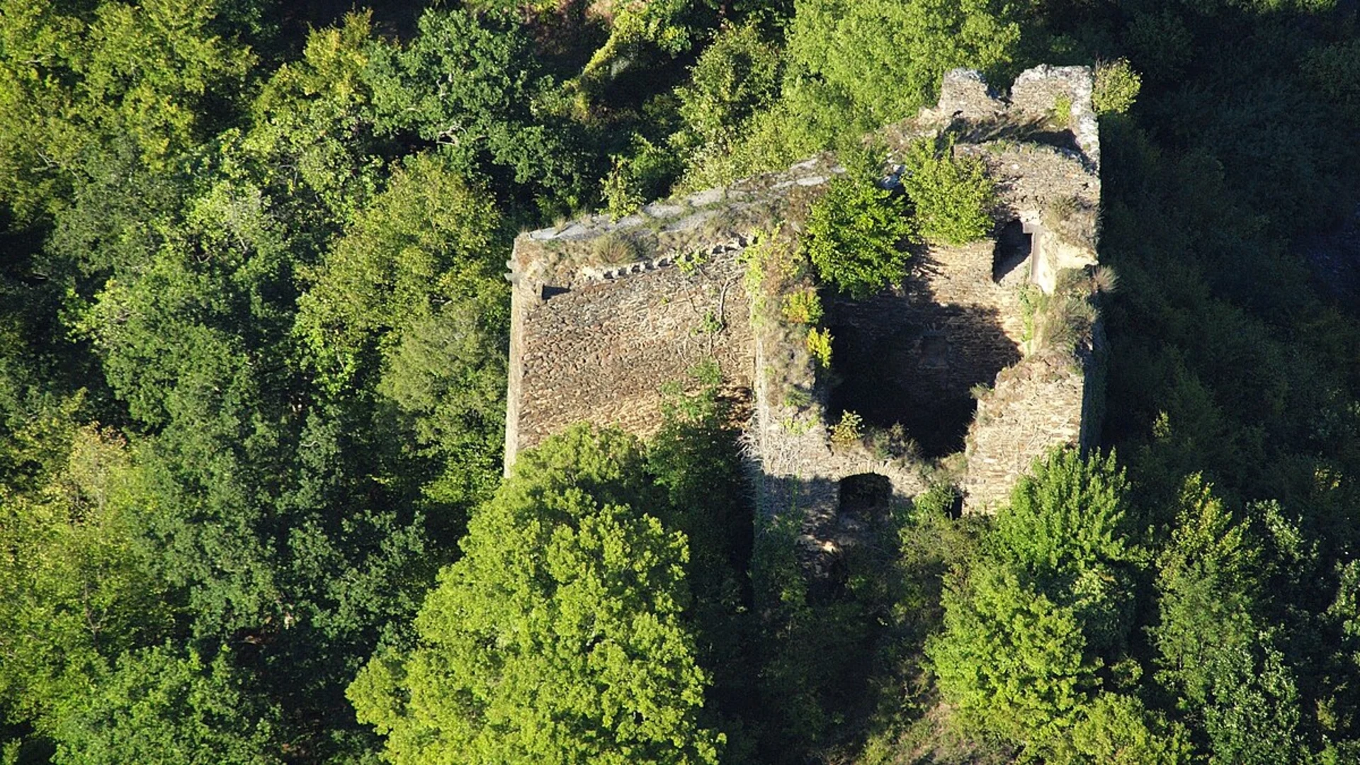 An image depicting the trail Trutzeltz Castle Loop via Mosel Camino and its surrounding area.
