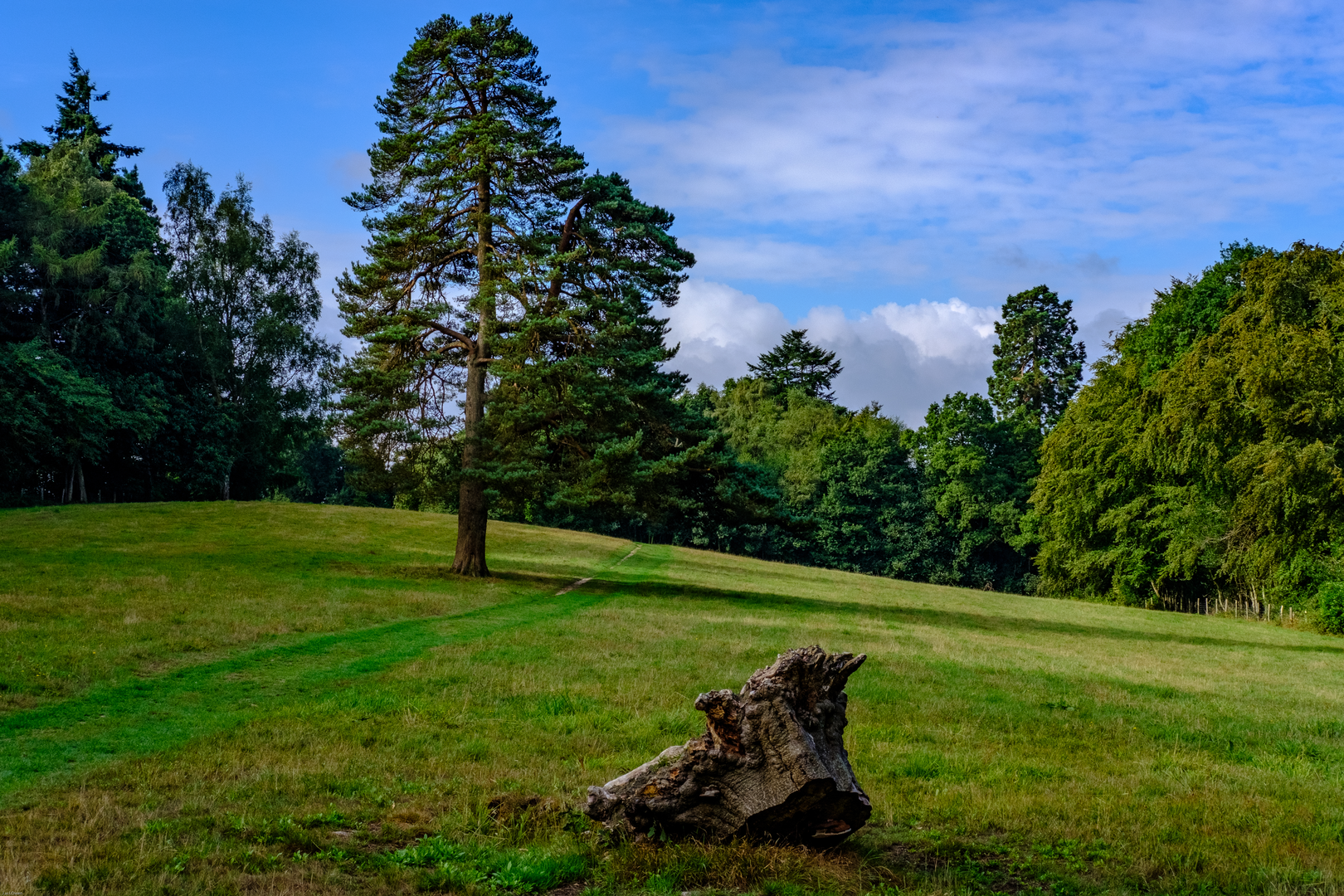 An image depicting the trail Haslemere to Godalming Walk - Surrey and its surrounding area.