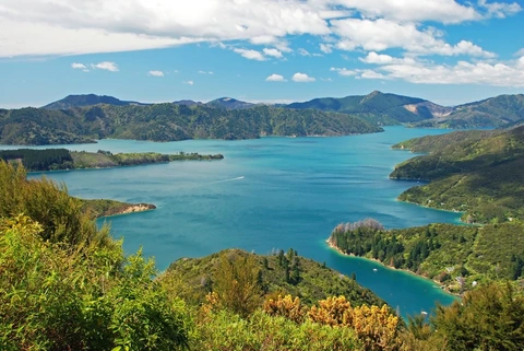 Queen Charlotte Track