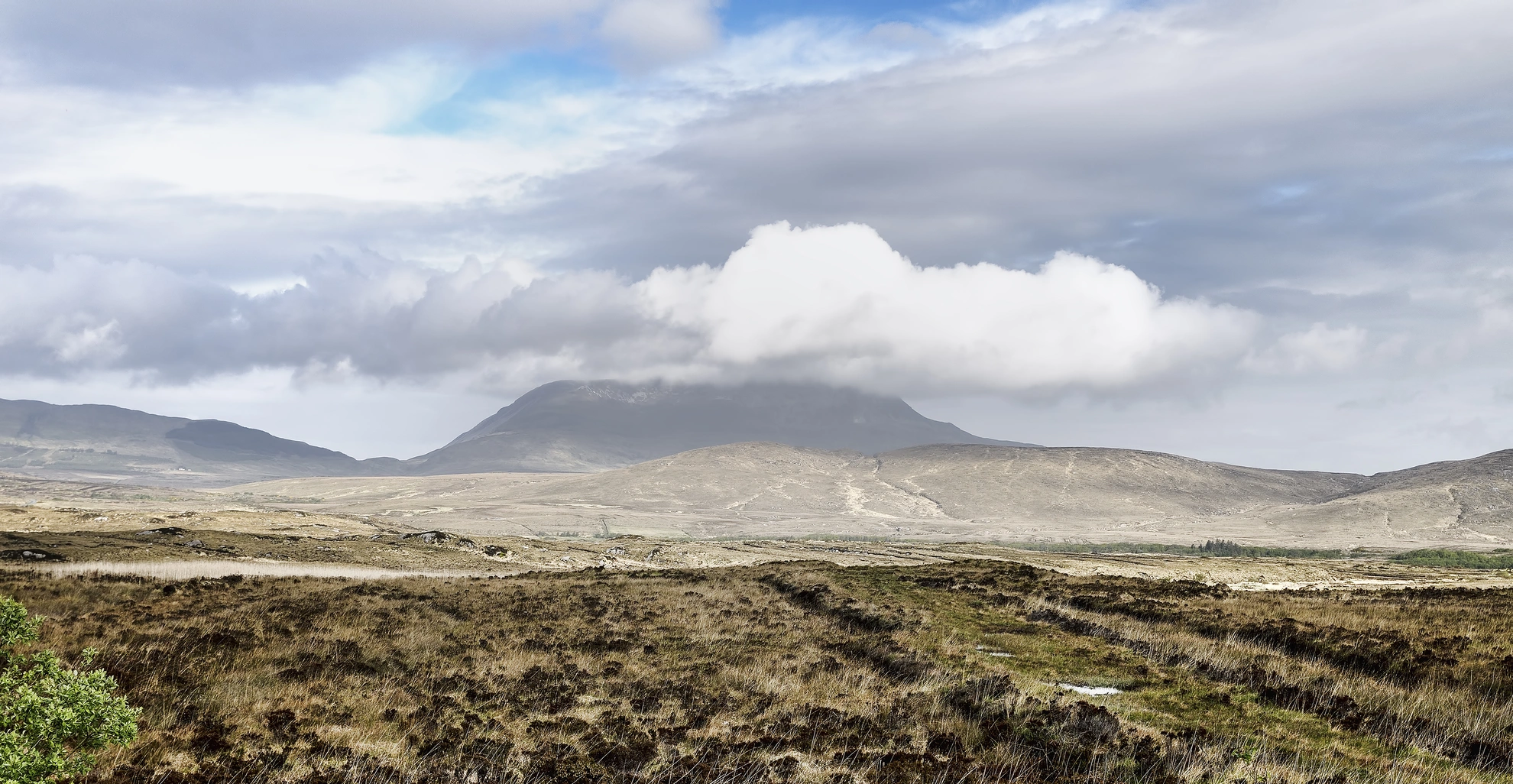 An image depicting the trail Slí Iarnród Ailt an Chorráin - An Mhucais go dtí An Fál Carrach and its surrounding area.